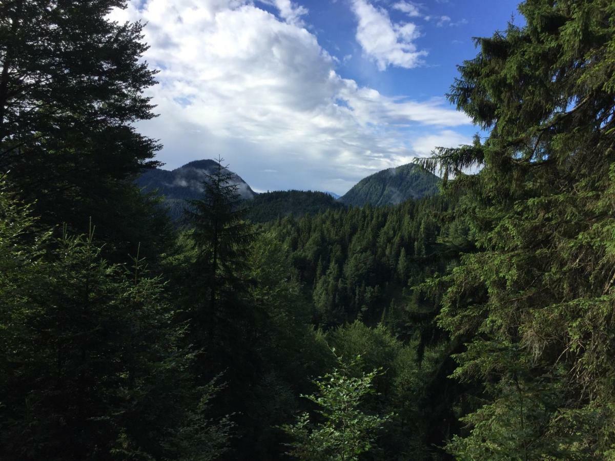 Ferienwohnung Almflair Chalet Thiersee Bagian luar foto